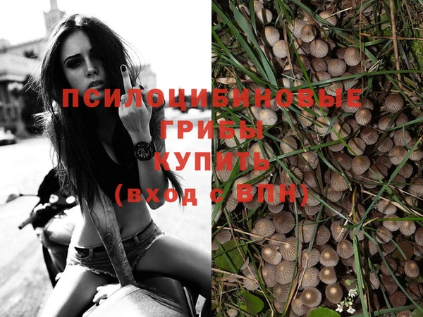 спайс Алексин
