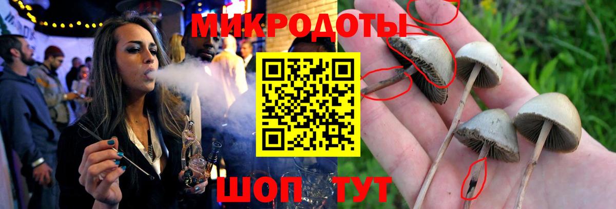 Псилоцибиновые грибы GOLDEN TEACHER  Вход с VPN  Клин 