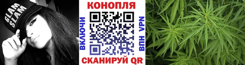 Конопля SATIVA & INDICA  Клин 